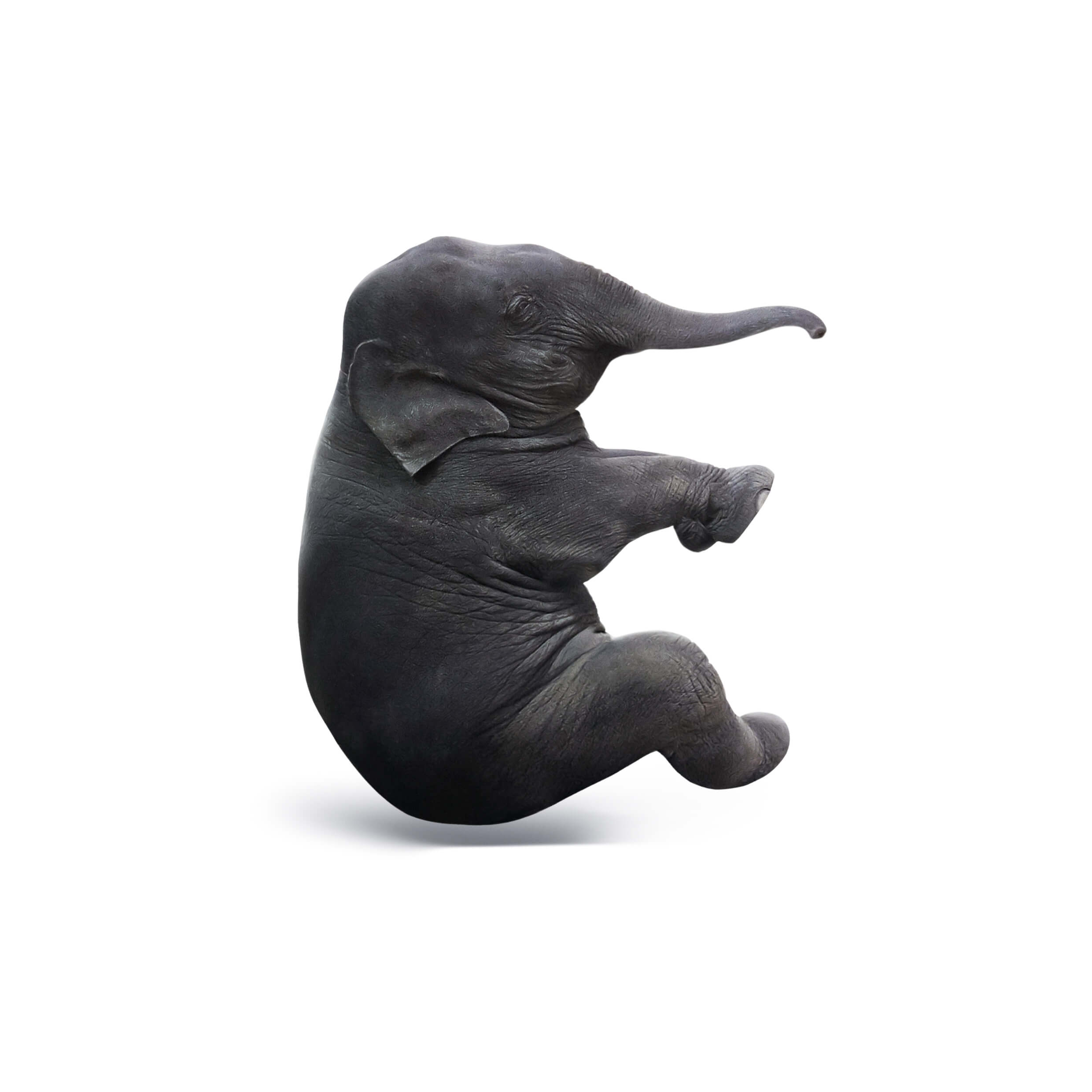 E_Elephant